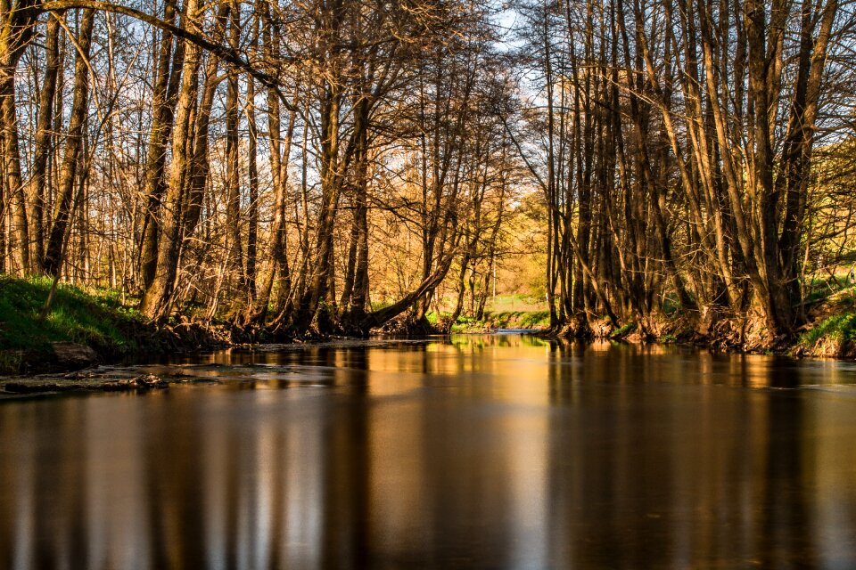 Bank landscape forest