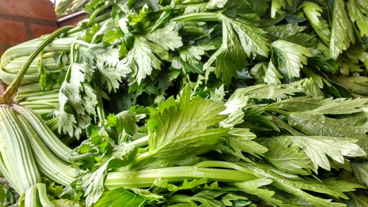 Green leaves green vegetables