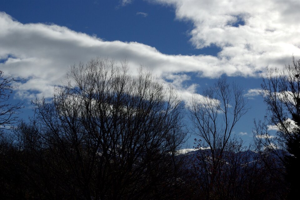 Winter nature blue