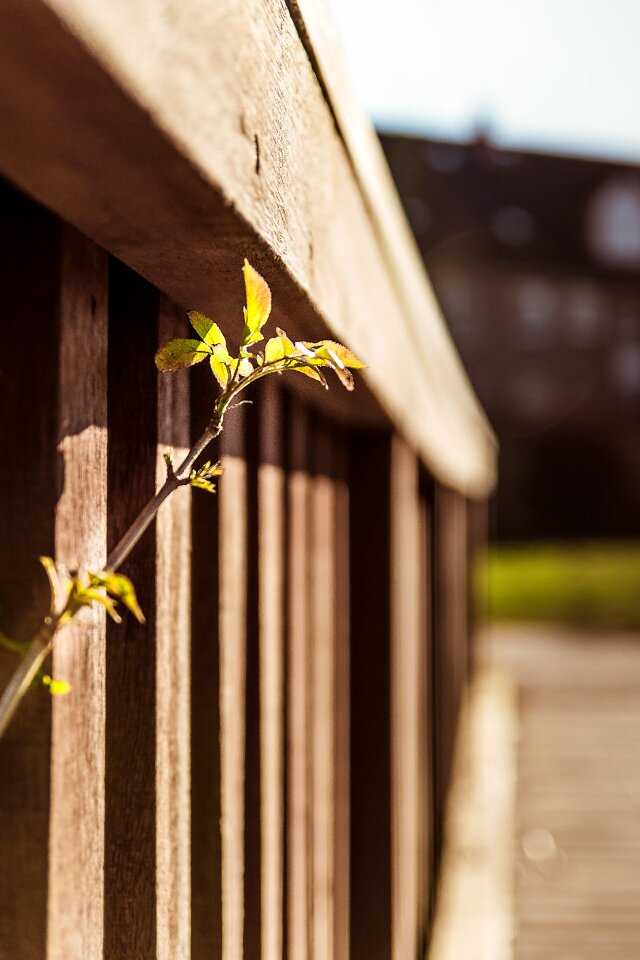 Spring progress breakthrough