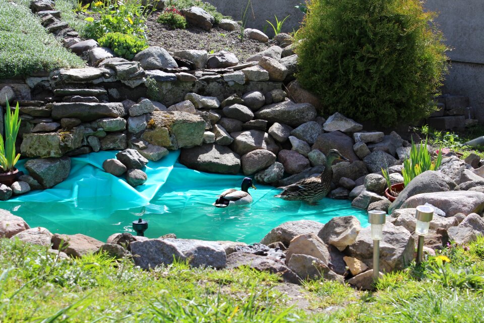 View landscape water