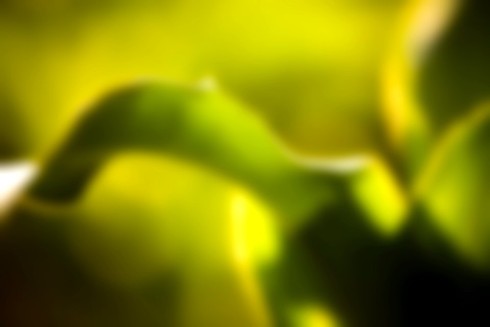 Free stock photo of background, blur, blurred