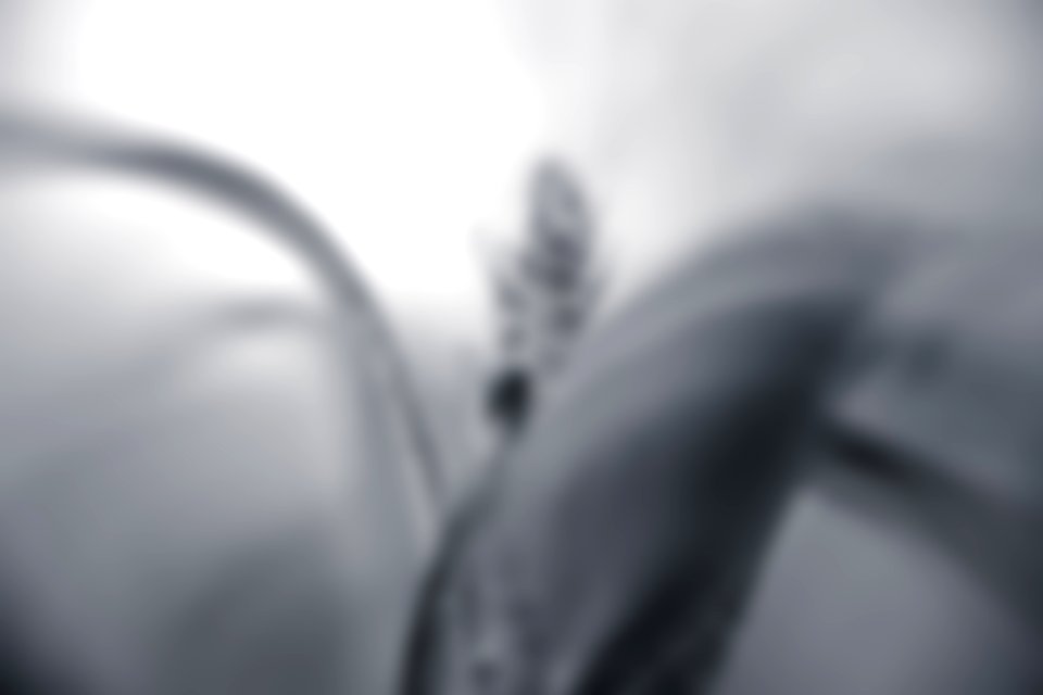 Free stock photo of background, black and white, blur photo