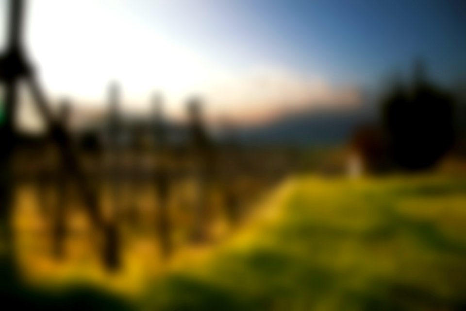 Free stock photo of background, blur, blurred photo