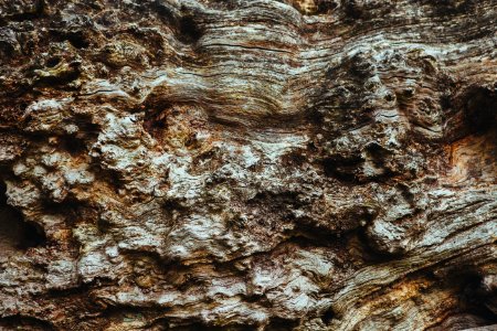 Close-up Photo of Brown Rocks photo