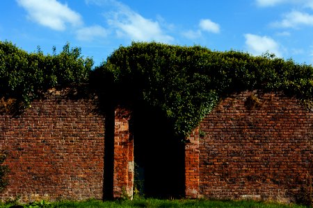Brown Brick Wall Surrounded With Green Plant
