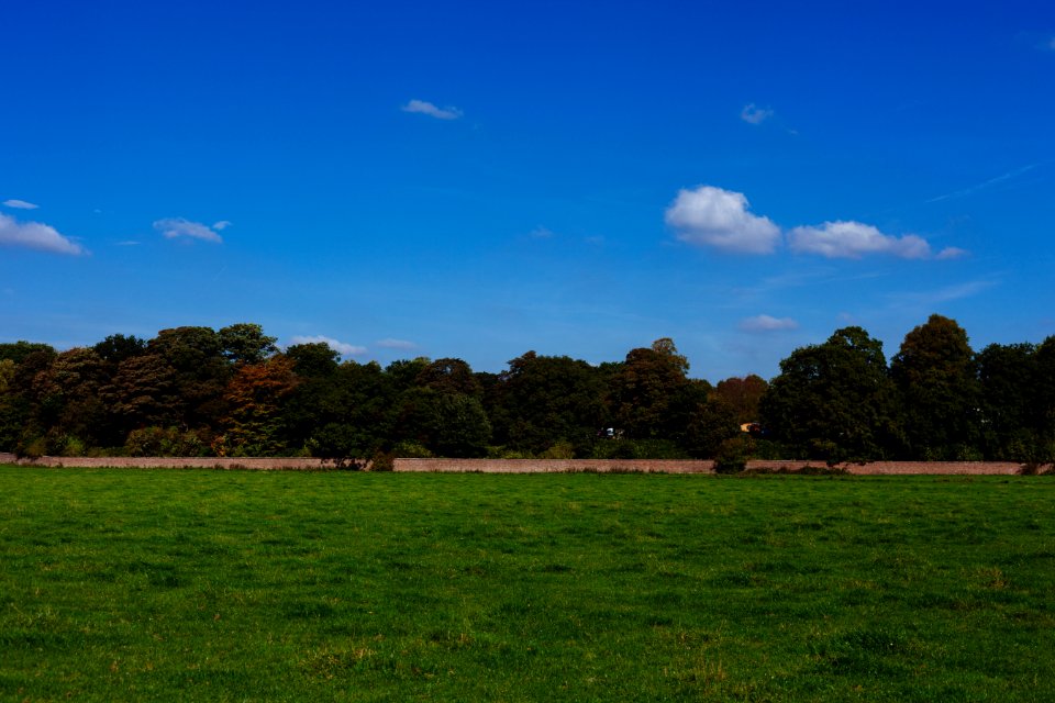 Green Grass Field Under Blue Sky
