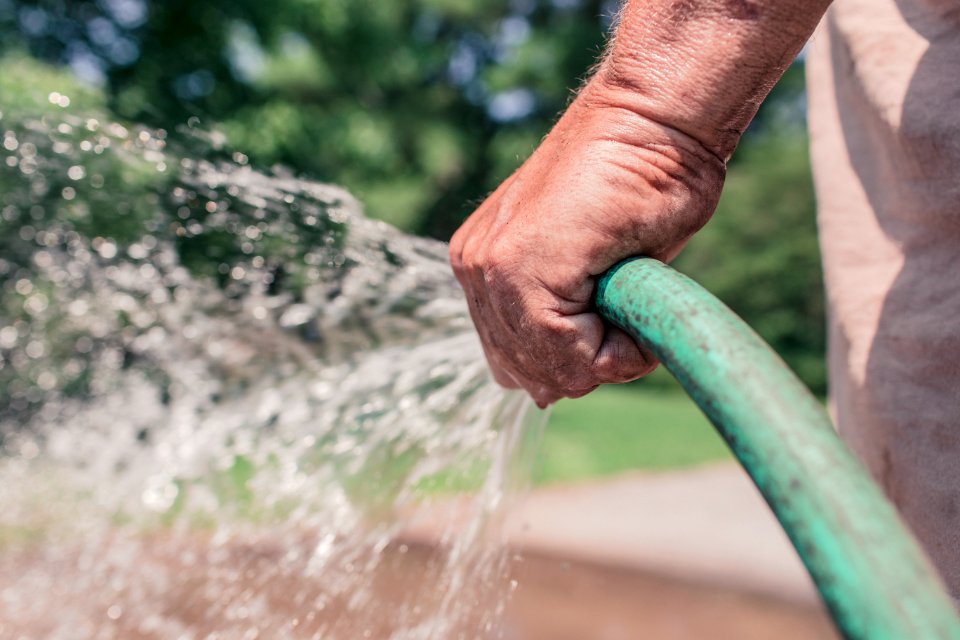 Person Holding Green Hose photo