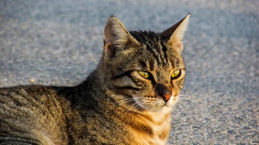 Street sitting relax photo