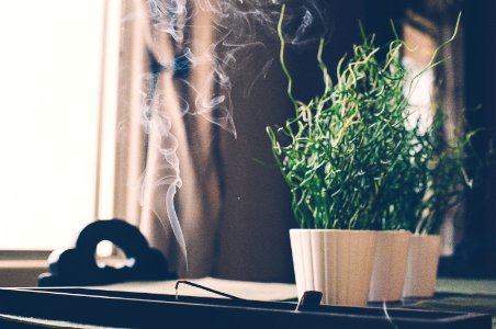 Burned Incense Stick on Container photo