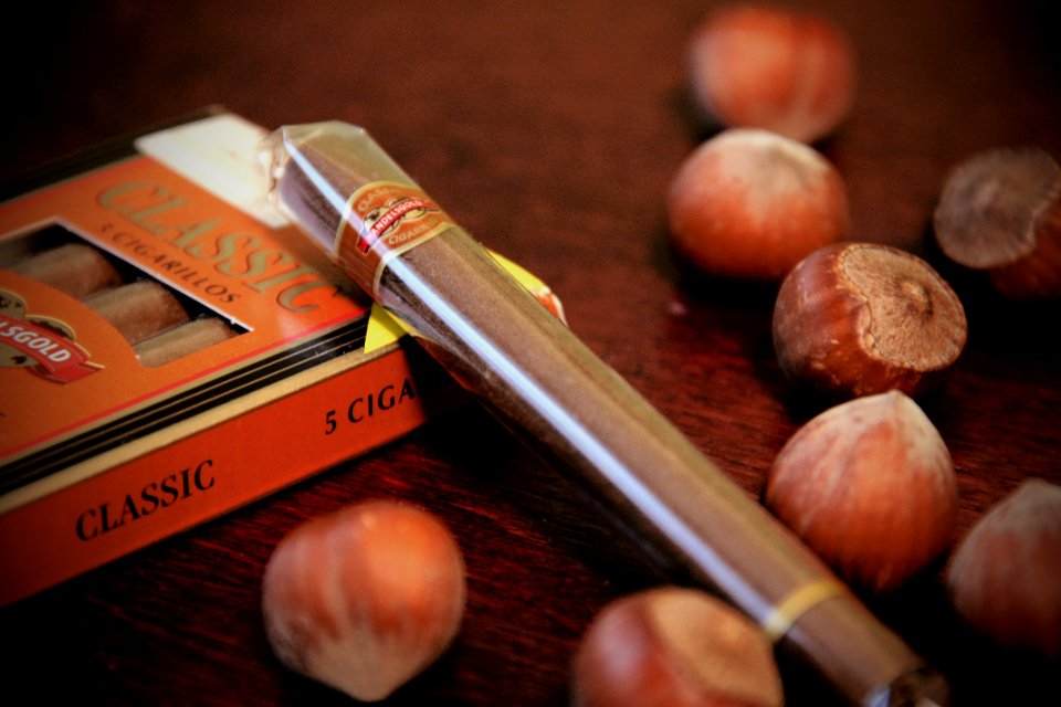 Walnut and Chocolate Stick on Wooden Surface photo