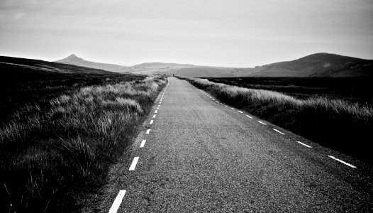 Asphalt Road Between Grass Field photo