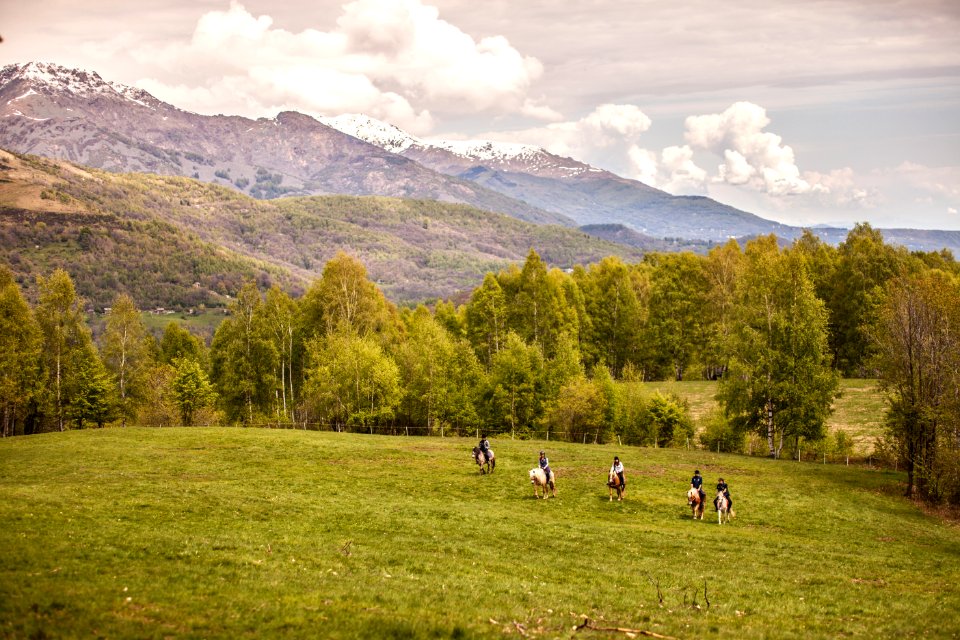 Person Riding on Horse