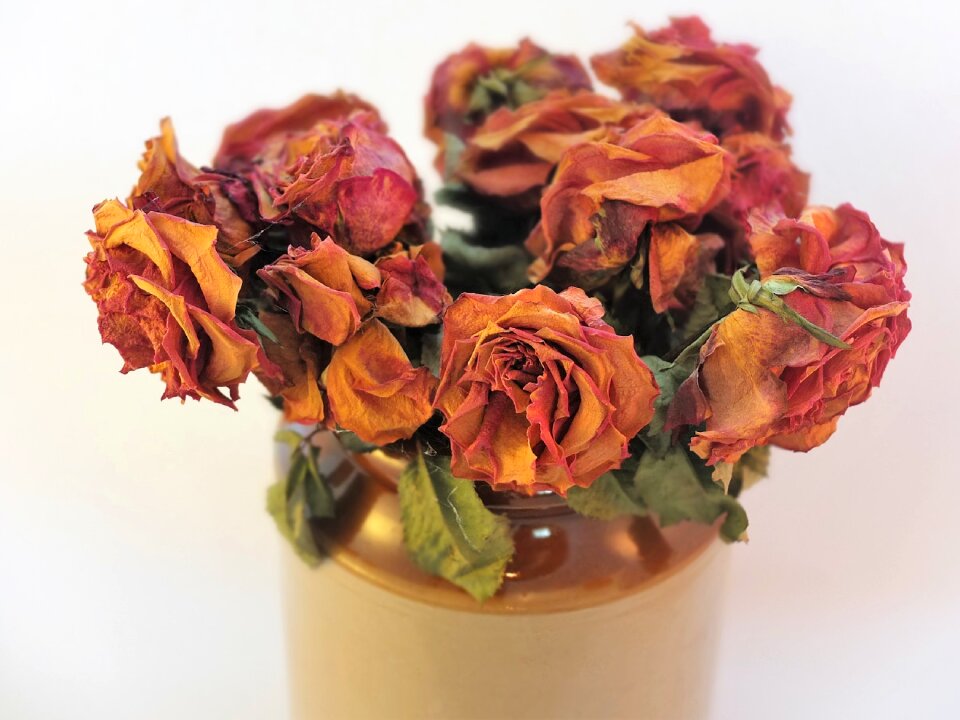 Texture dry romance