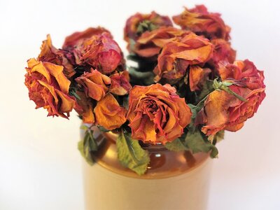 Texture dry romance