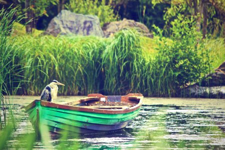 Selective Focus Photography of Great Blue Heron Standing on Green and Brown Rowboat on Calm Body of Water photo