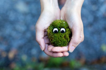 Person Showing Green Plant With Eyes photo