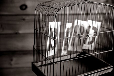 Grayscale Photography of Gray Birdcage Near Wall