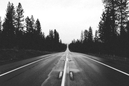 Grayscale Photography of Road Between Trees photo