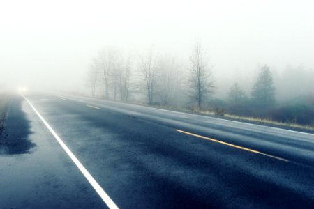 Grey Concrete Road Covered by Fogs photo