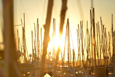 Lot of Sailboats during Golden Hour photo
