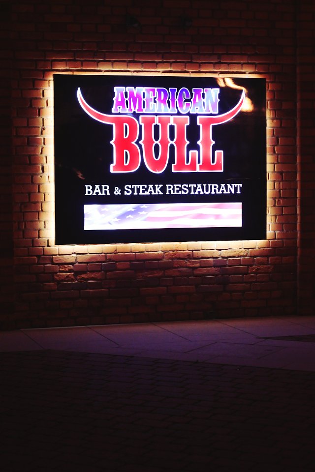American Bull photo