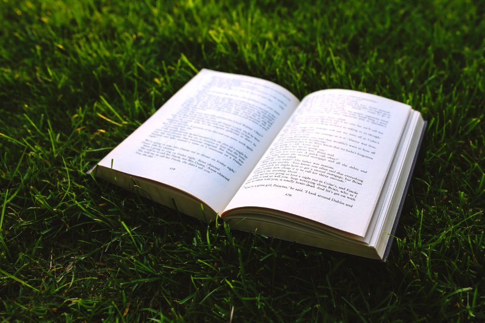 Book on the grass photo