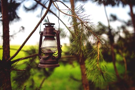 Kerosene lamp in the woods photo
