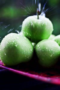 Green apples photo