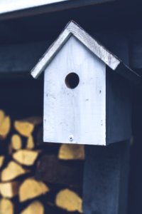 Gray birdhouse photo