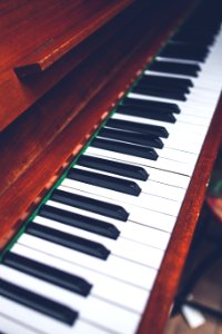The piano keyboard photo