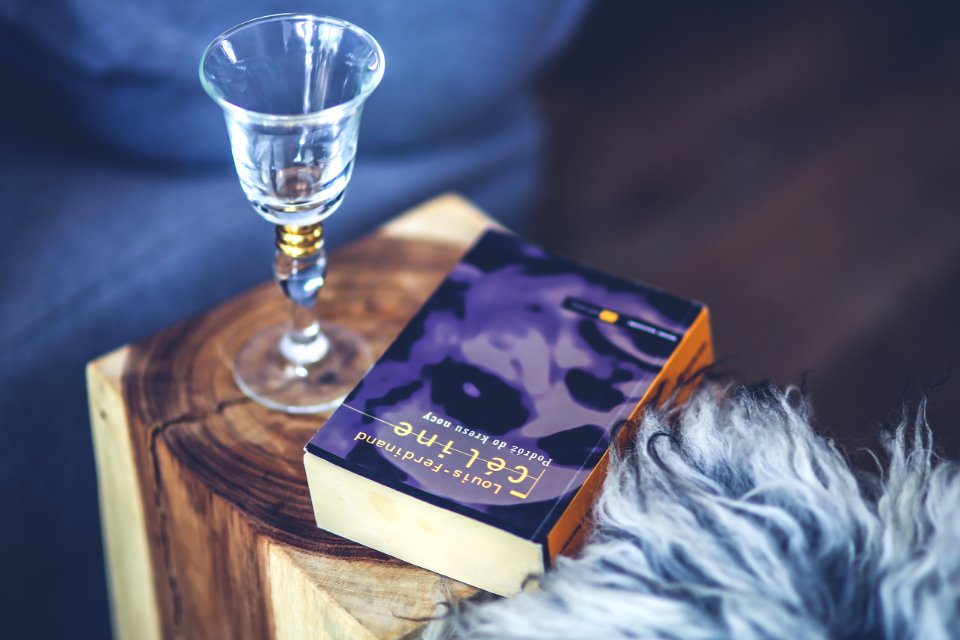 Wine glass & book photo