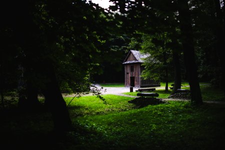 Wooden building in the forest photo