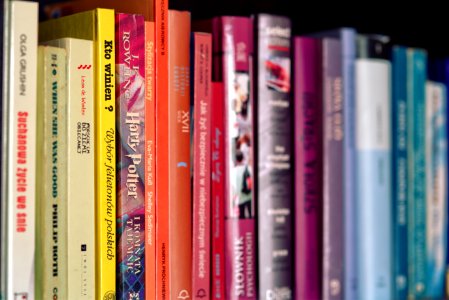 Colorful books on shelf photo
