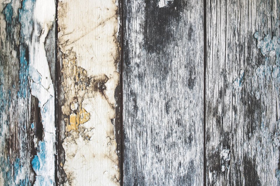 Old Wooden Boards photo