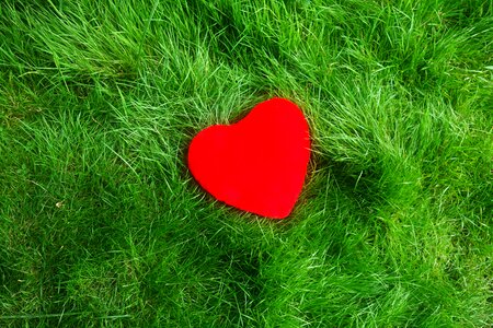 Romance romantic red heart photo