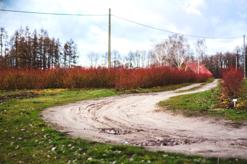 Country road photo