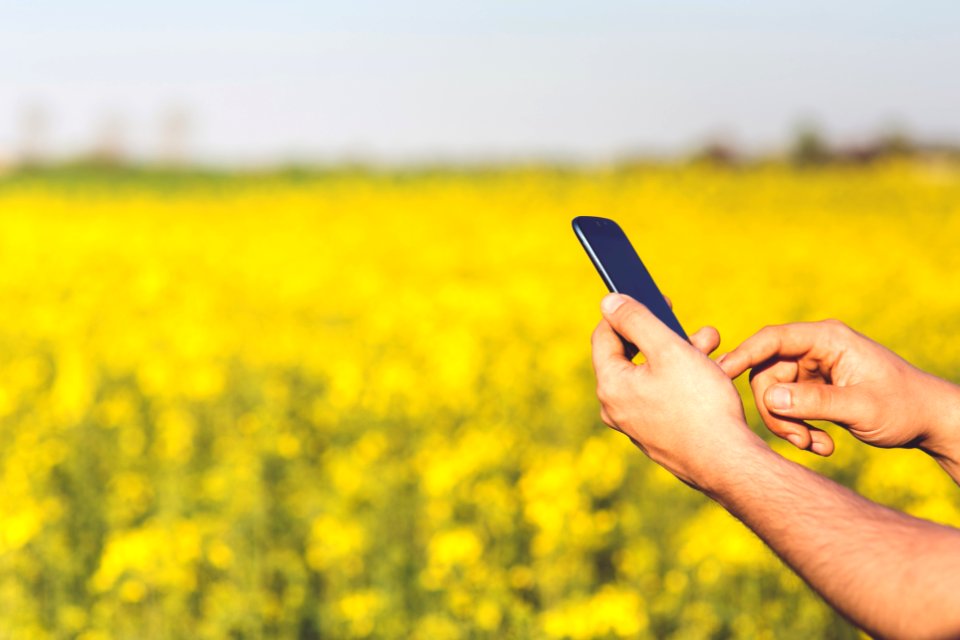 Smartphone Acer Jade S in the hands of a man on a background of yellow flowers photo