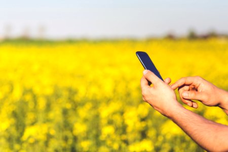 Smartphone Acer Jade S in the hands of a man on a background of yellow flowers photo