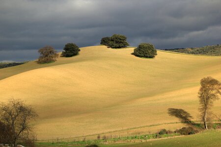 Hills landscape tree