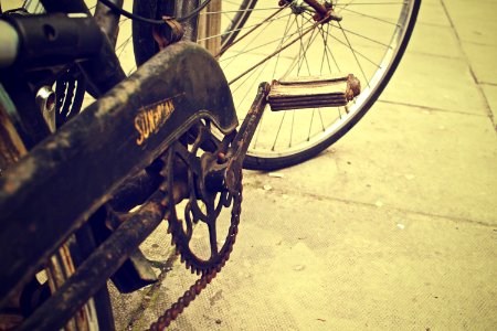 Black Bicycle photo