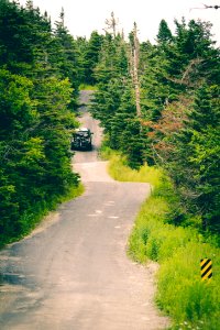 Vehicle on Road in Between Trees Photography photo