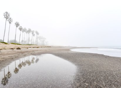 Free stock photo of beach, fog, marine layer photo