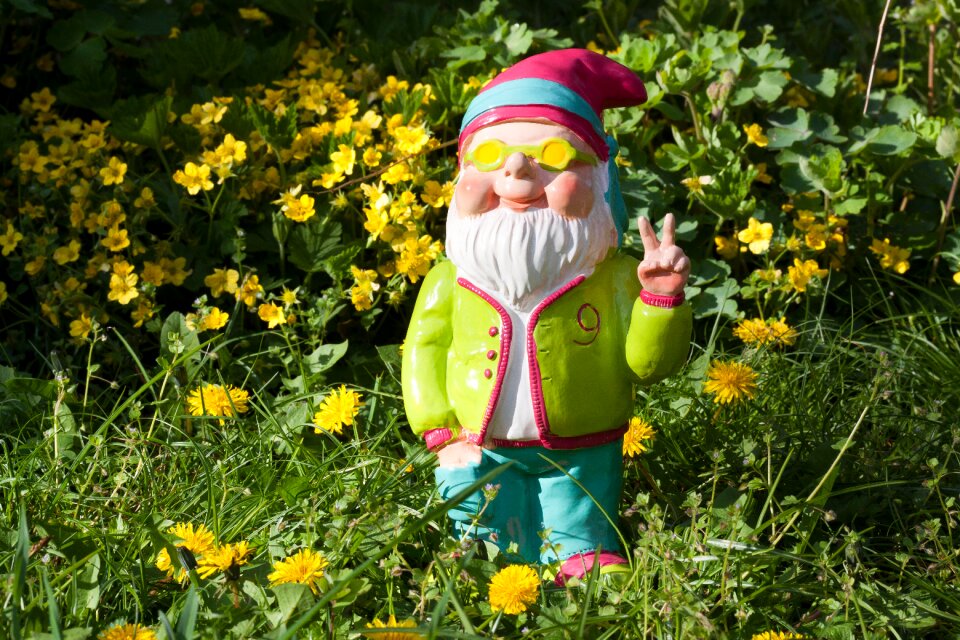 Garden mood colorful