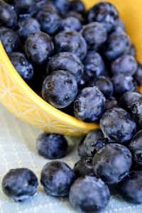 Blueberries in Bowl photo