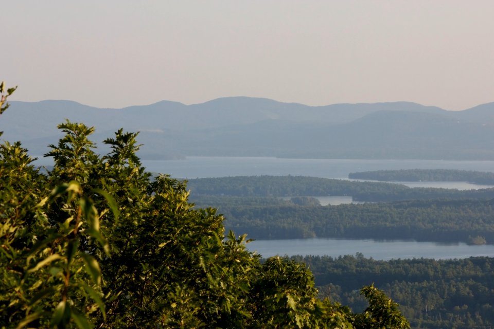 Free stock photo of mountains, trees photo