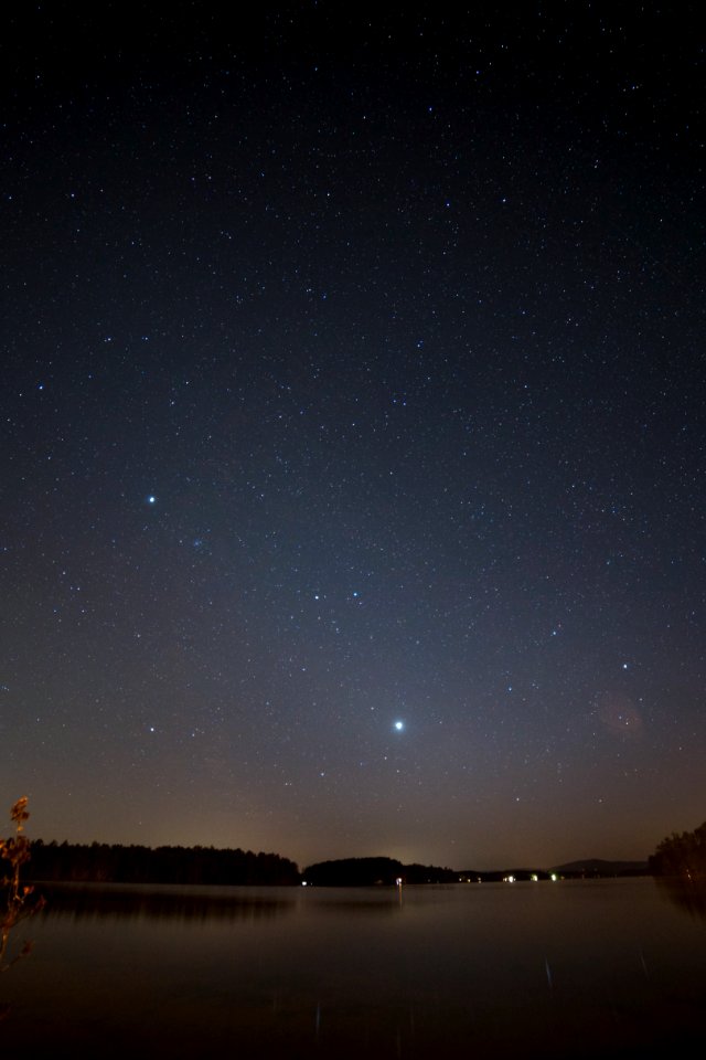 Free stock photo of night, stars, trees