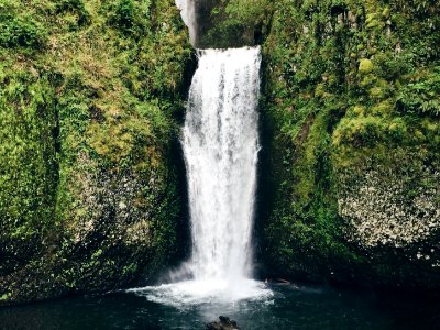 Landscape Photography of Waterfall photo