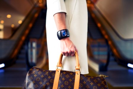 Person Carrying Monogrammed Louis Vuitton Handba photo