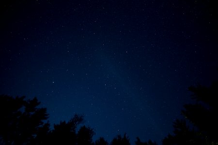Free stock photo of night, stars, trees